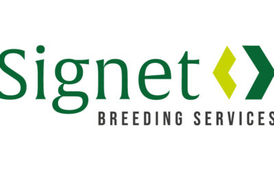 Signet Breeding Services