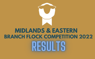 Midlands and Eastern Branch Flock Competition Results 2022