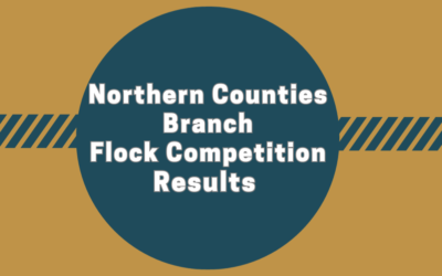 Northern Counties Branch Flock Competition Results 2023