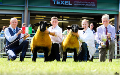 Royal Welsh Agricultural Show –  2024