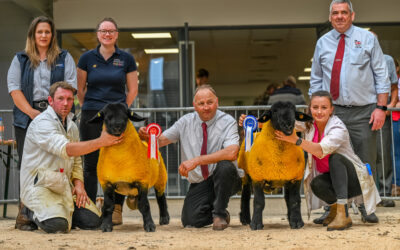 Carlisle & Northern Counties of England Branch Show & Sale 2024