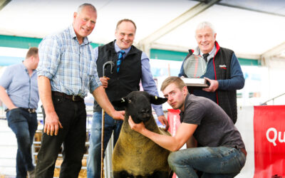 Kelso Show & Sale 2024