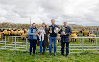 National Flock Competition 2024 View Day